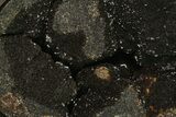 Septarian Dragon Egg Geode - Black Crystals #137930-2